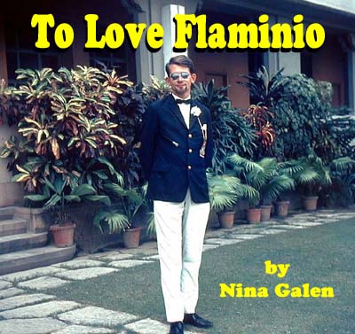To Love Flaminio